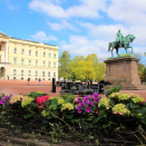 Blomsterdekor på Slottsplassen. Og ved statuen av Kong Carl Johan reiser pressetribunen seg. Foto: Nina Ilefeldt, Det kongelige hoff